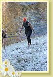 IMG_5558