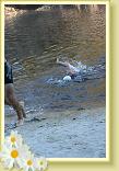 IMG_5578