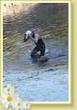 IMG_5580