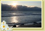 IMG_4993