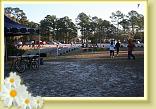 IMG_6480
