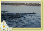 IMG_2219