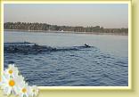 IMG_2240