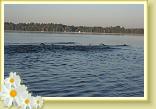 IMG_2250