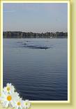 IMG_2392