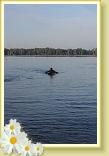 IMG_2458