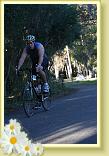 IMG_5726