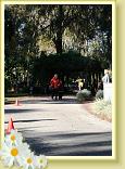 IMG_5739