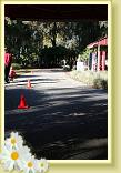 IMG_5758