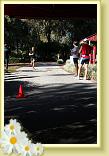 IMG_6002