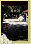 IMG_6026