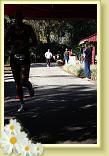 IMG_6028