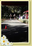 IMG_6037