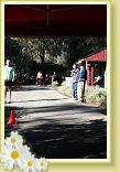 IMG_6106