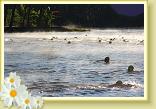IMG_5583