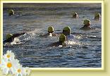 IMG_5598