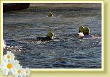 IMG_5599