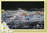 IMG_3453