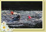 IMG_3455