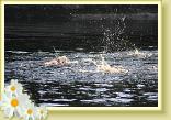 IMG_3474