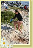 IMG_0381