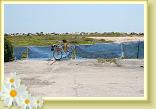 IMG_1887